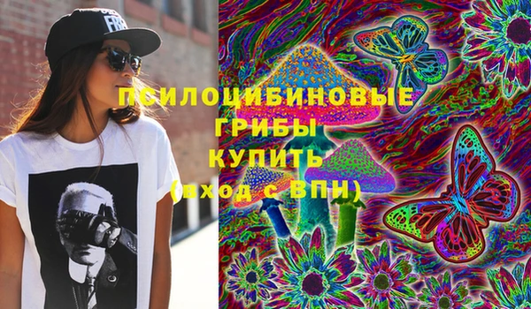 СК Пролетарск