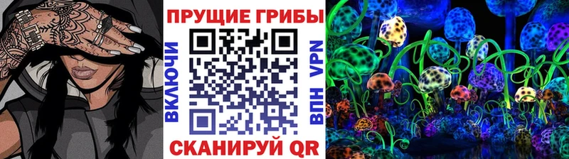 mega онион  Белый  Псилоцибиновые грибы мицелий  купить  цена 